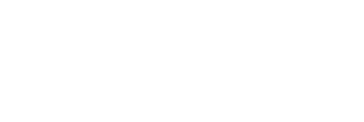 LionMotors